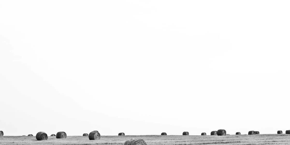 Hipotecas a Tipo Fijo vs Variable 2025: ¿Cuál Elegir?