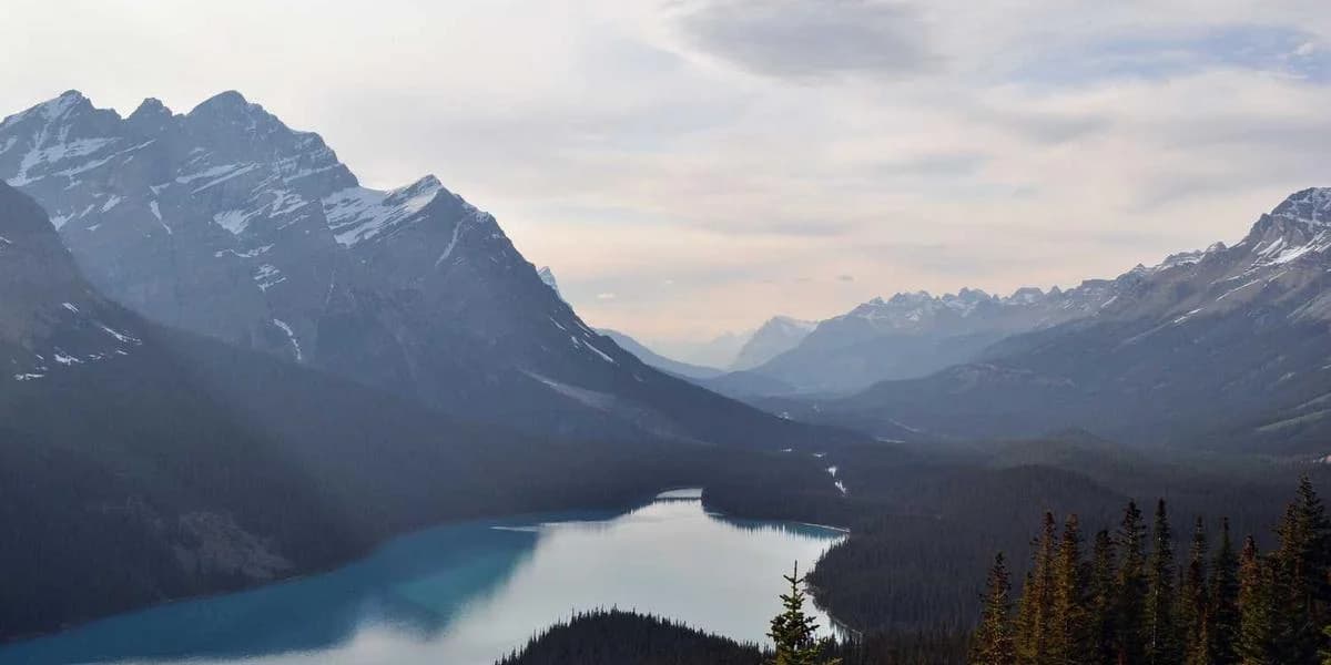 TAE vs TIN: Diferencias Clave en Hipotecas